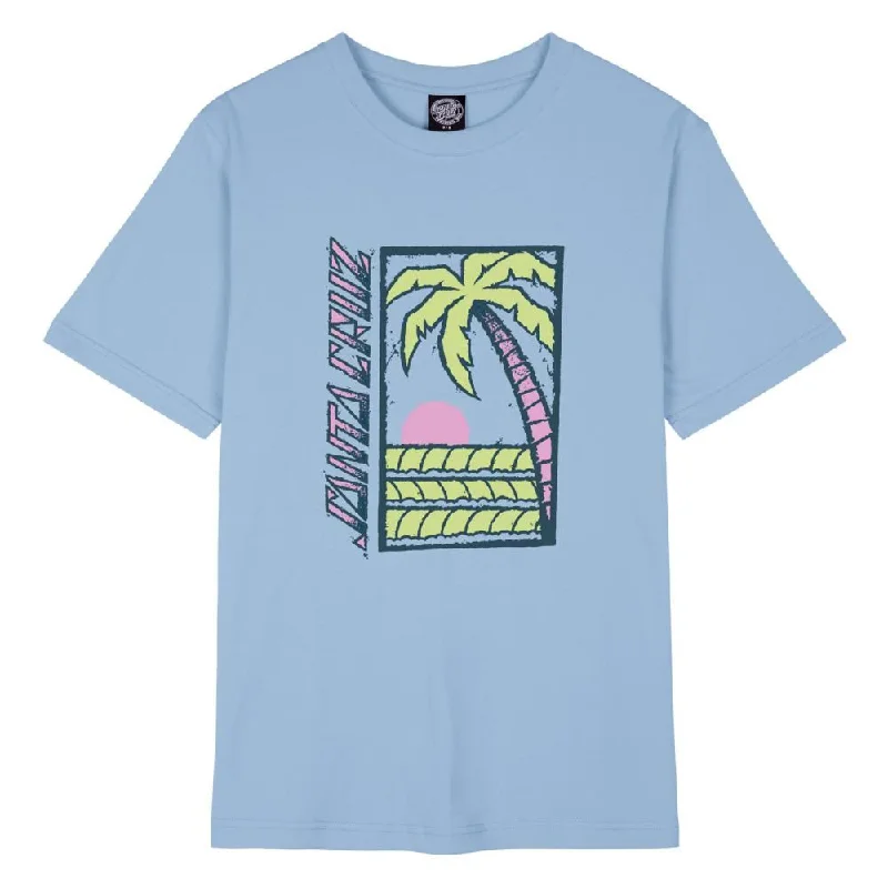 Santa Cruz Womens T-Shirt Palm Strip - Hyacinth-- V-Neck T-Shirt Long Sleeve Cotton
